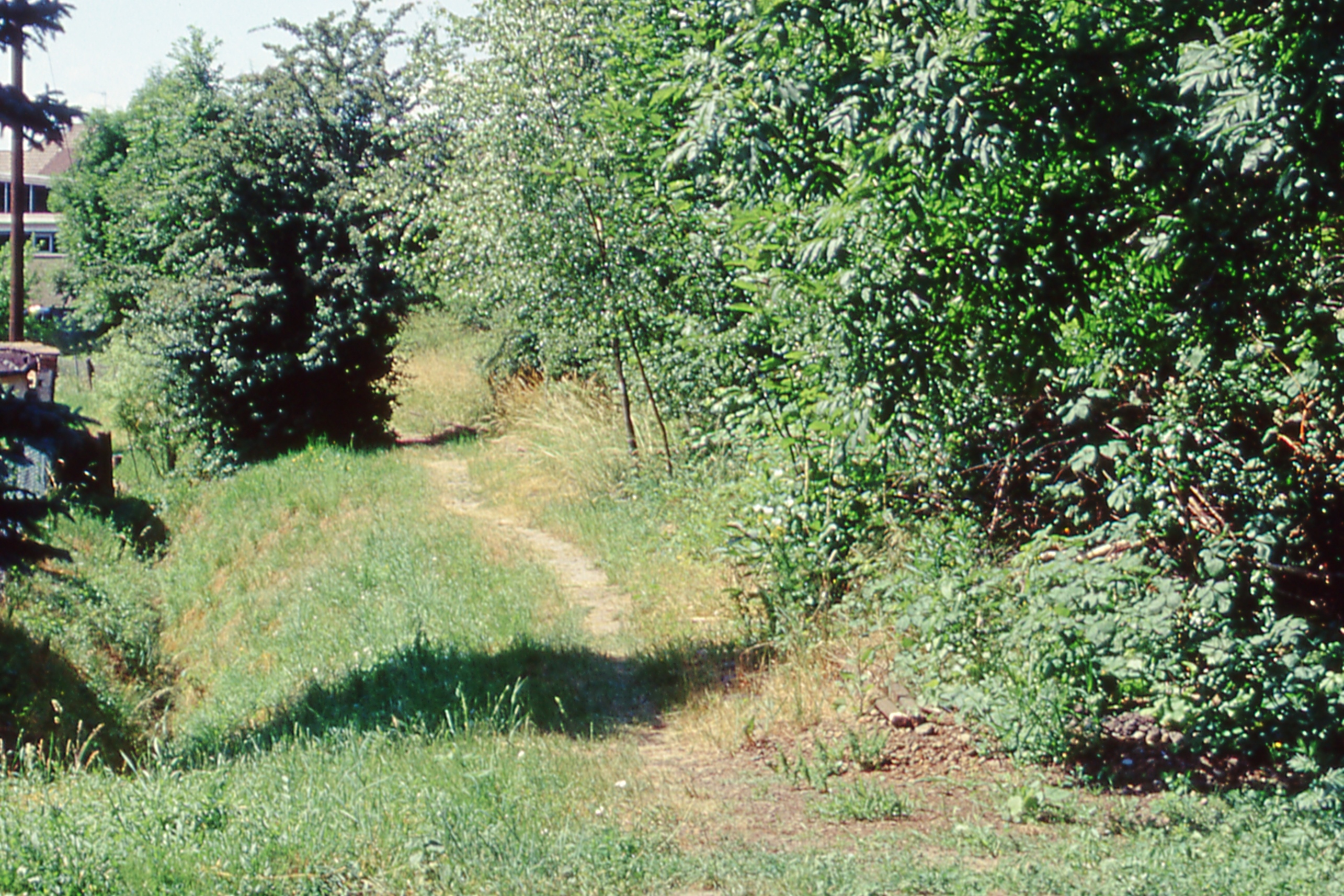 Gleistrasse Nordost - Gliesmarode