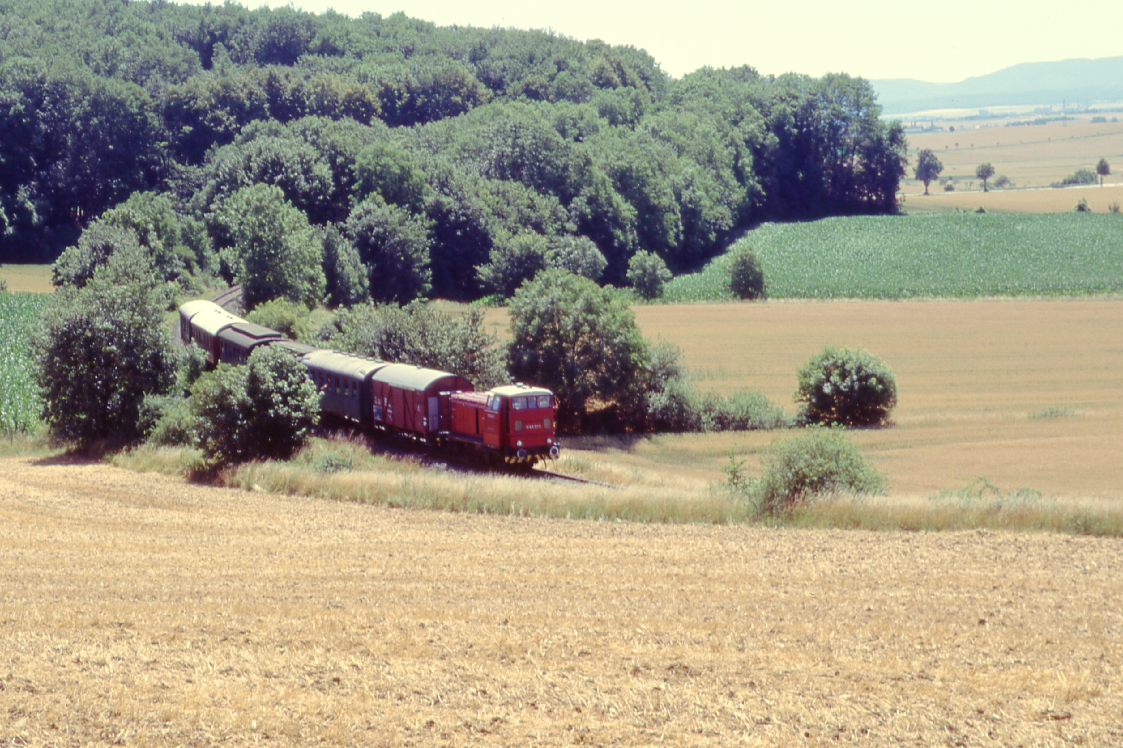 Assebummler